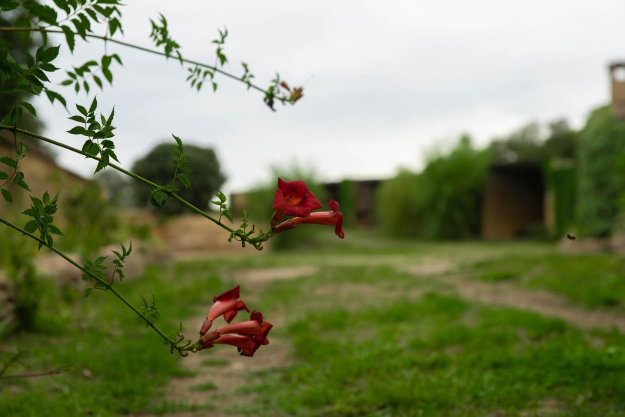 Casa Rural Sant Grau Turismo Saludable Y Responsable Solsona Kültér fotó