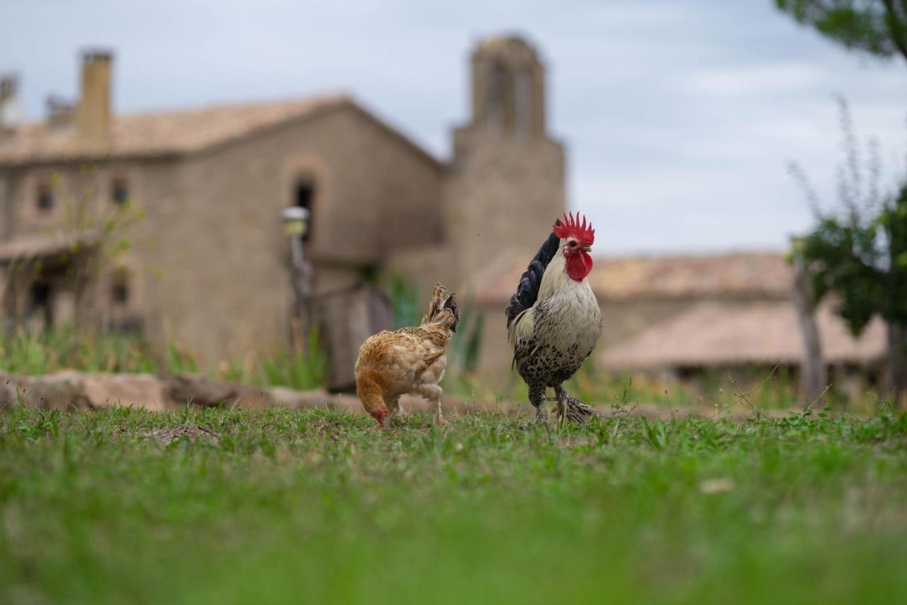 Casa Rural Sant Grau Turismo Saludable Y Responsable Solsona Kültér fotó